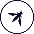 OWASP