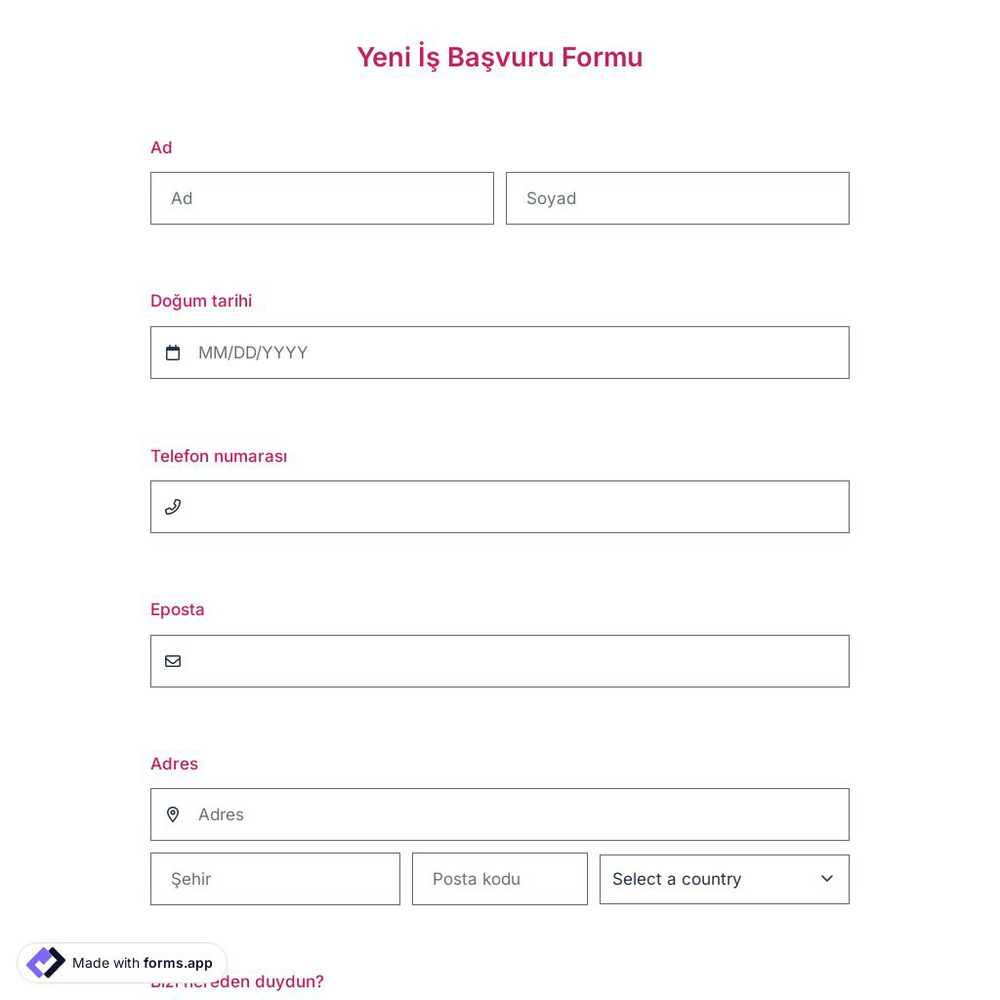 İş Başvuru Formu Şablonu