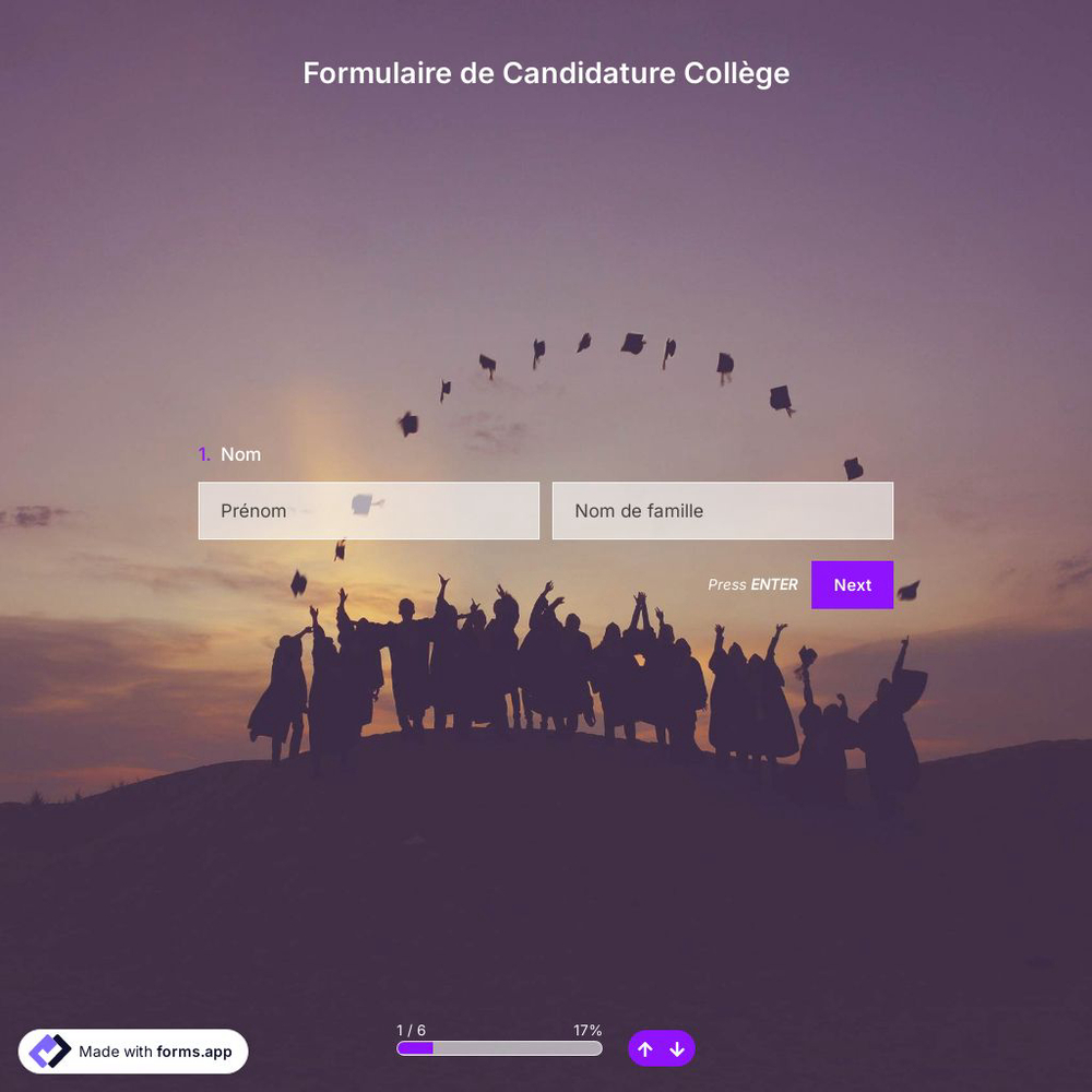 Modèle de Formulaire de Candidature Collège