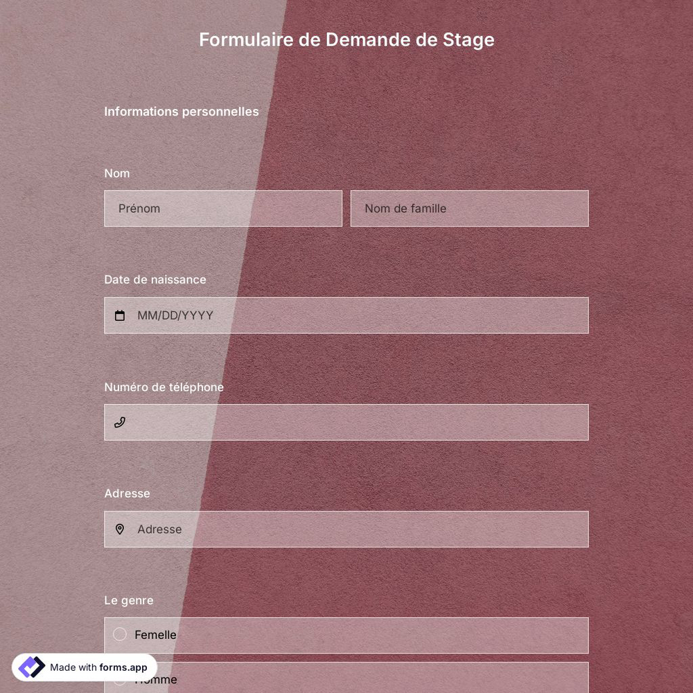 Modèle de Formulaire de Demande de Stage