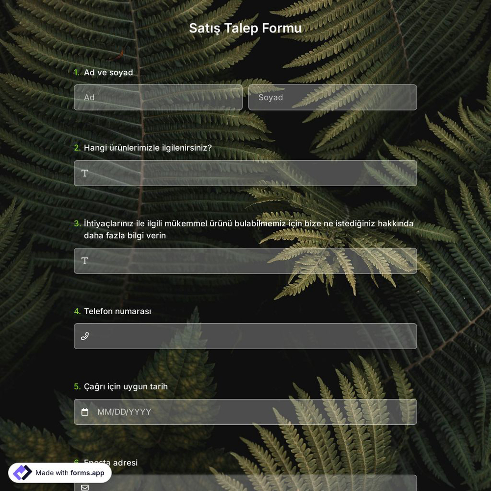 Satış Talep Formu Şablonu