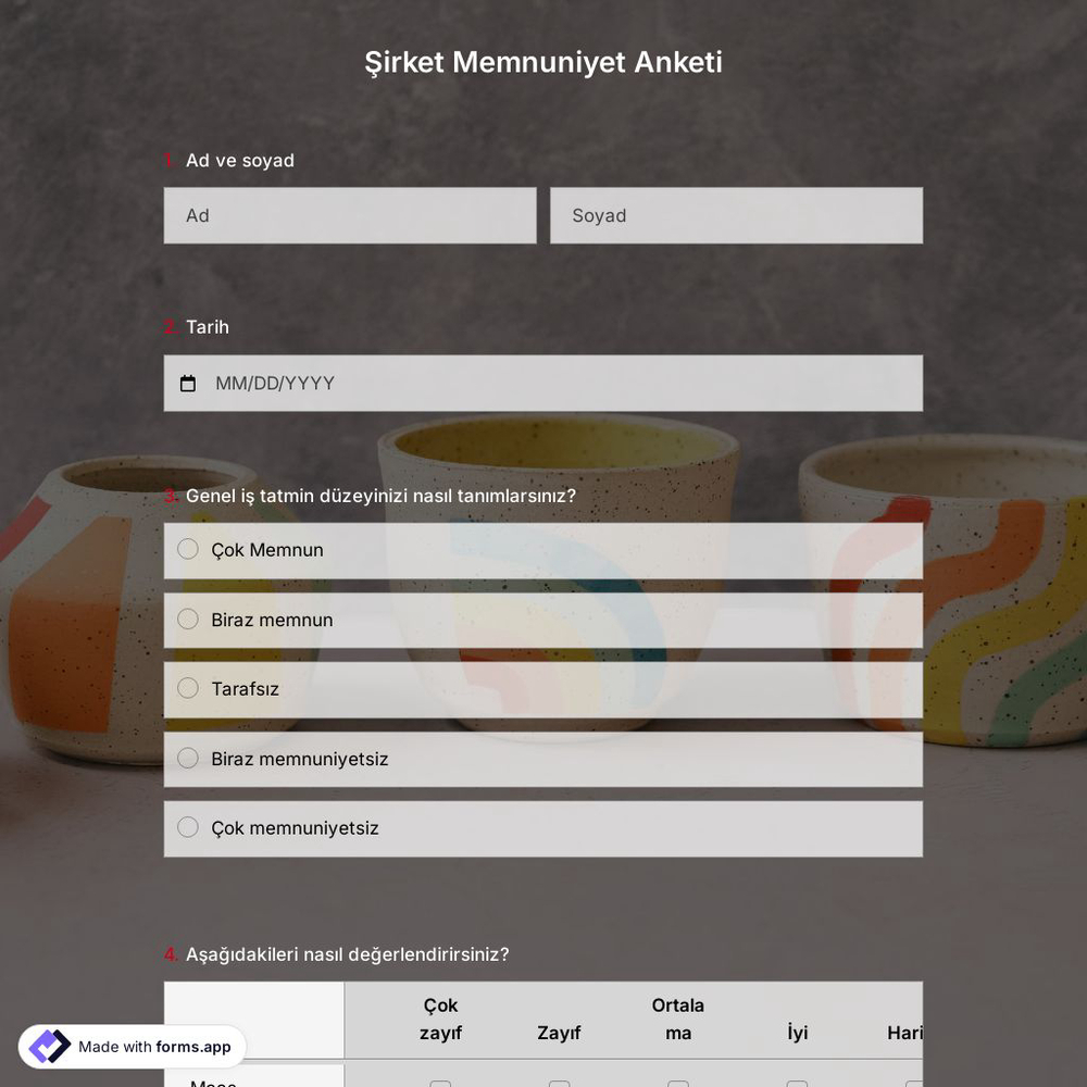 Şirket Memnuniyeti Anketi Şablonu