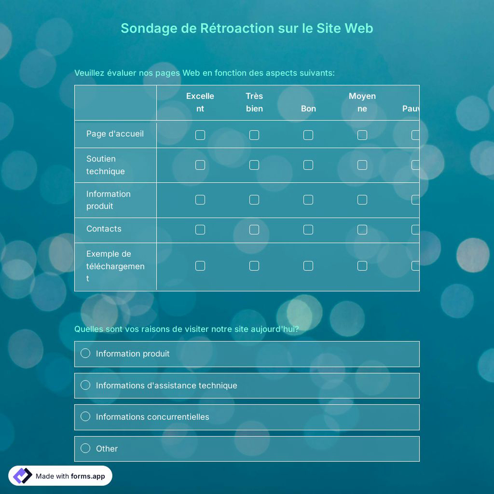 Modèle de Sondage de Rétroaction sur le Site Web