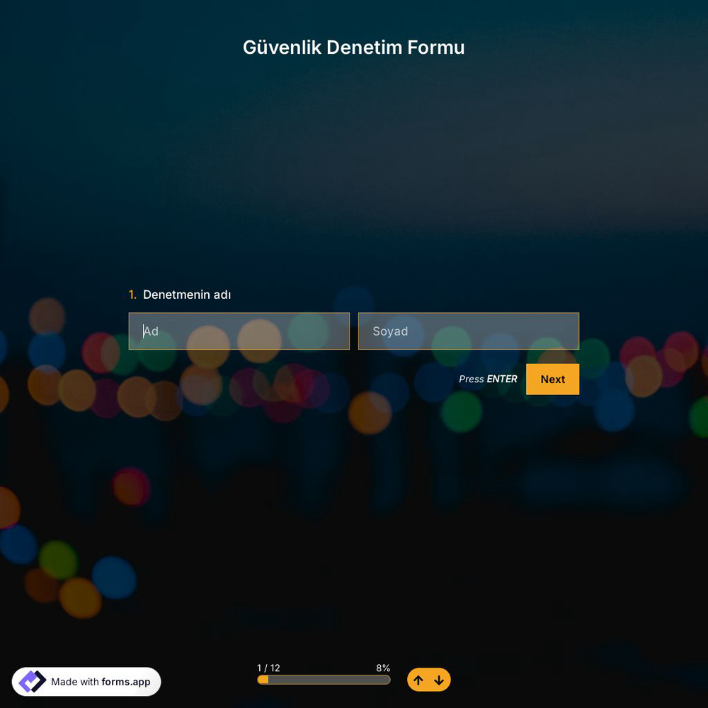 Güvenlik Denetim Formu Şablonu