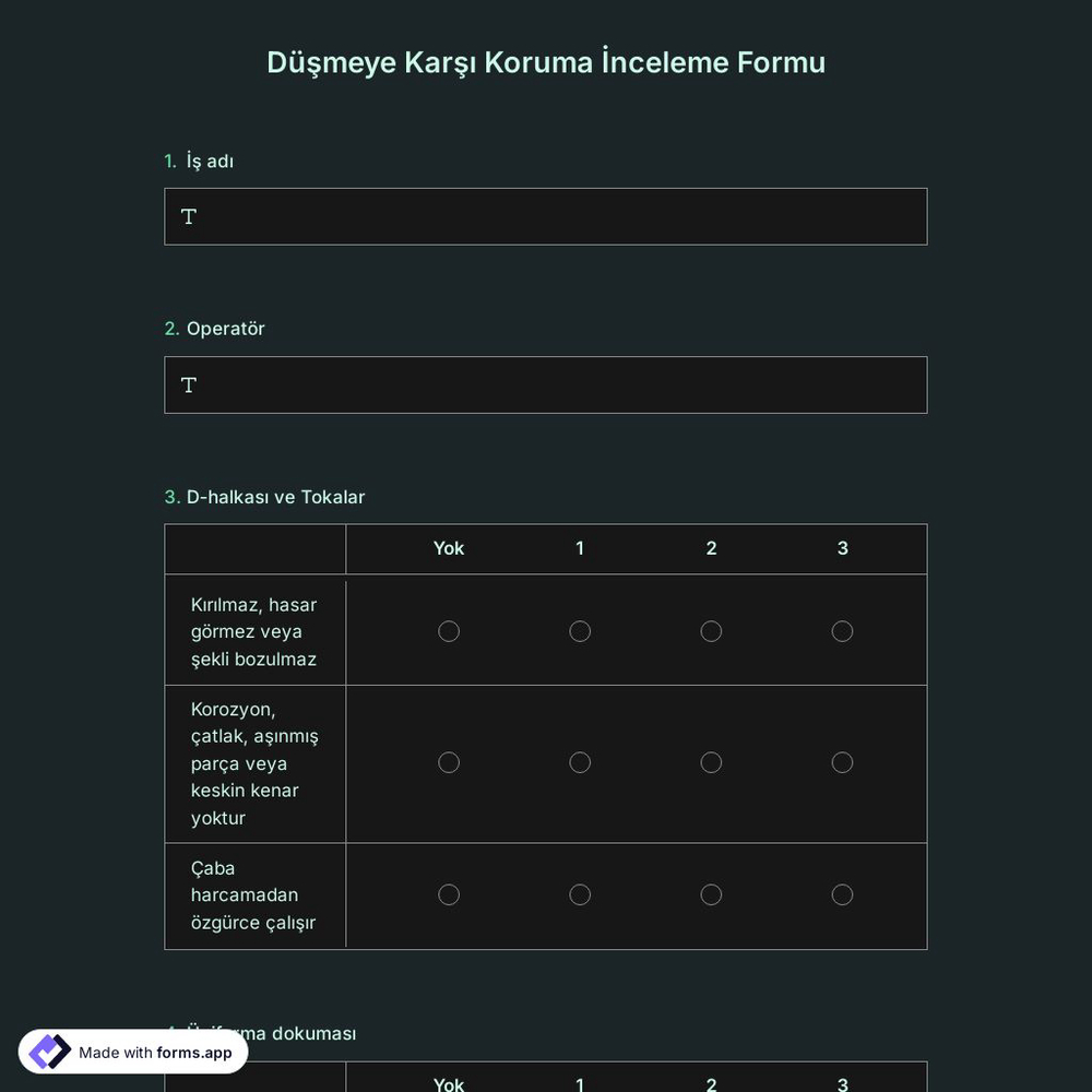Düşmeye Karşı Koruma İnceleme Formu Şablonu