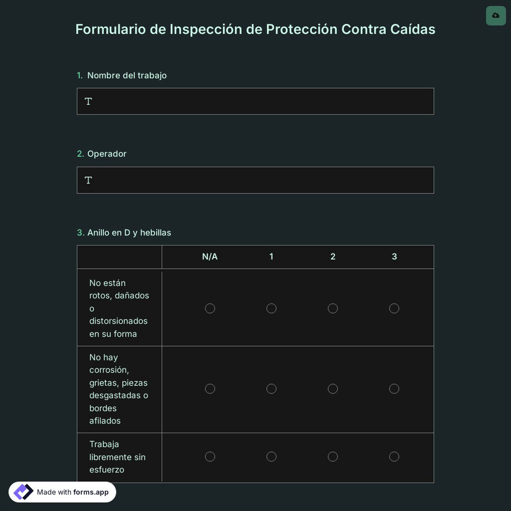 Plantilla de Formulario de Inspección de Protección Contra Caídas