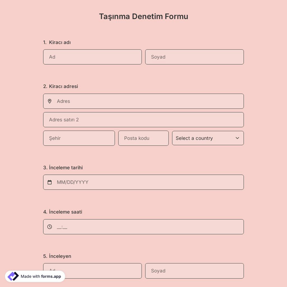 Taşınma Denetim Formu Şablonu