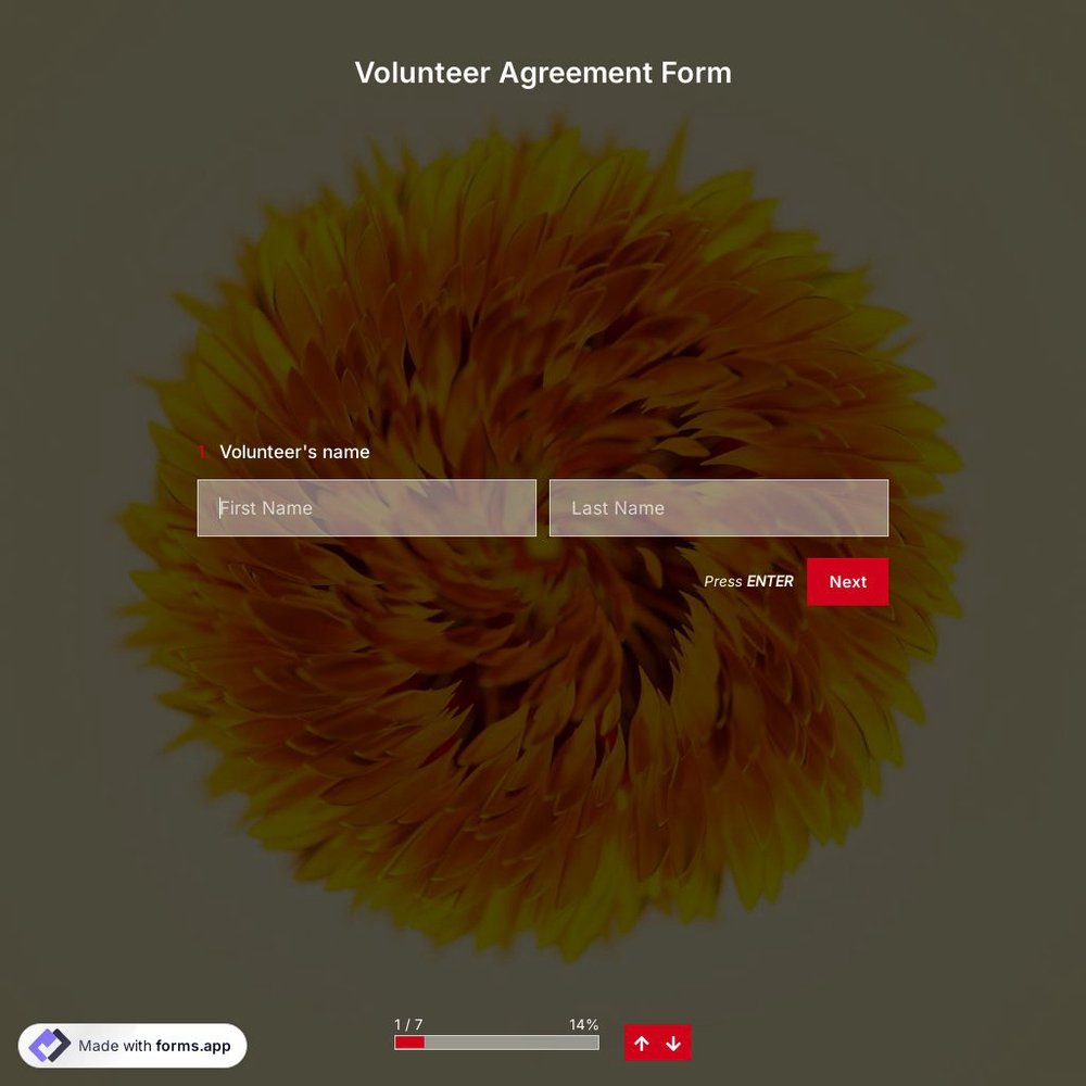 Volunteer Agreement Form