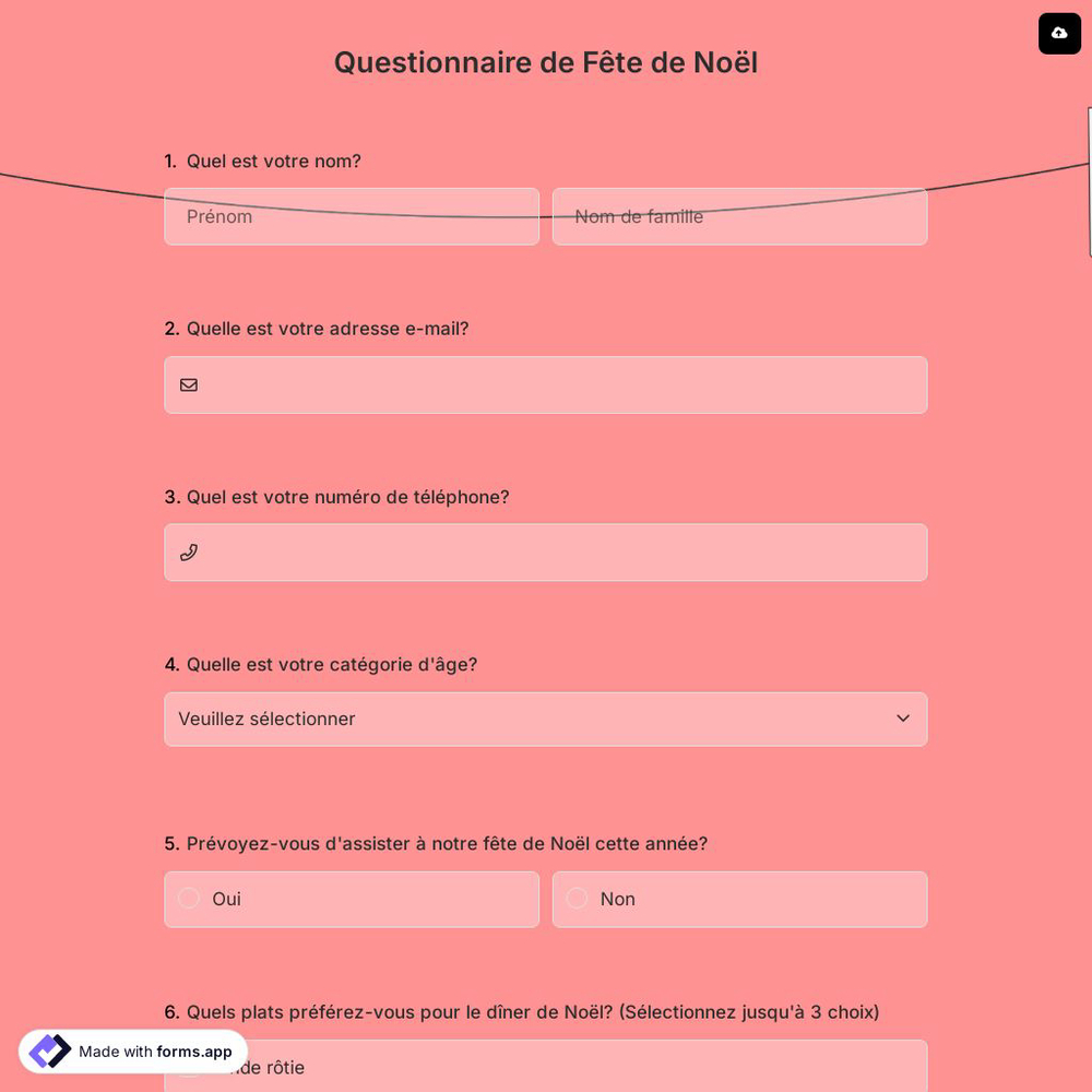 Questionnaire de Fête de Noël