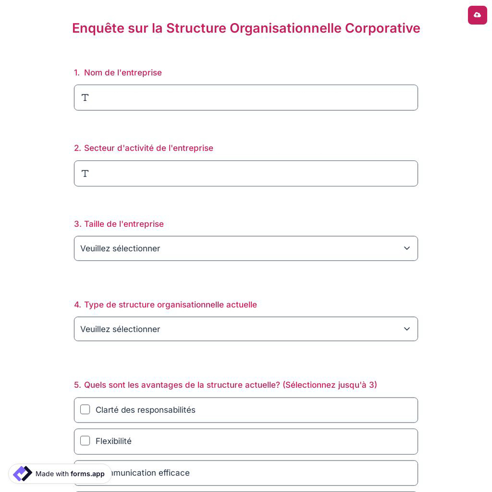 Enquête sur la Structure Organisationnelle Corporative