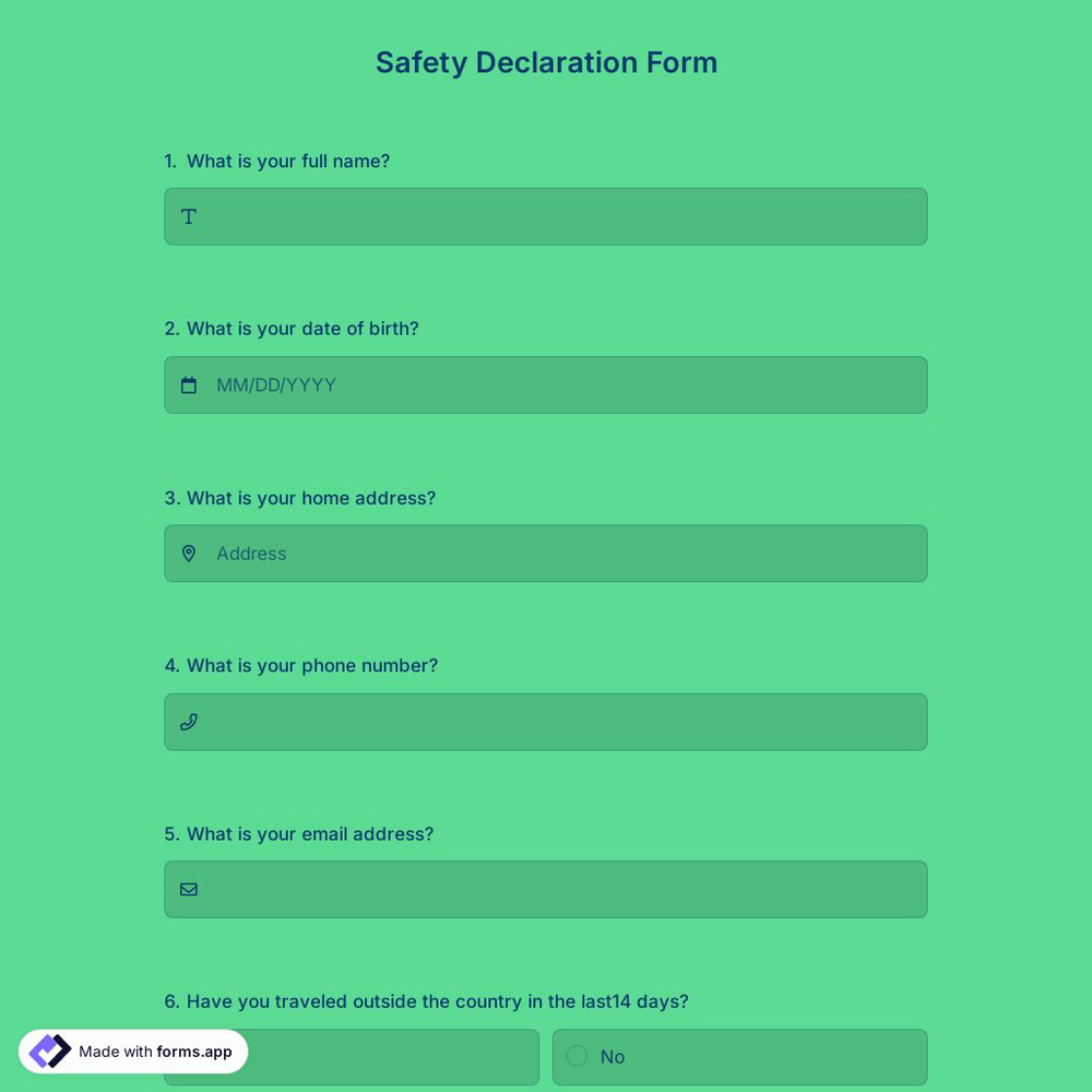 Safety Declaration Form
