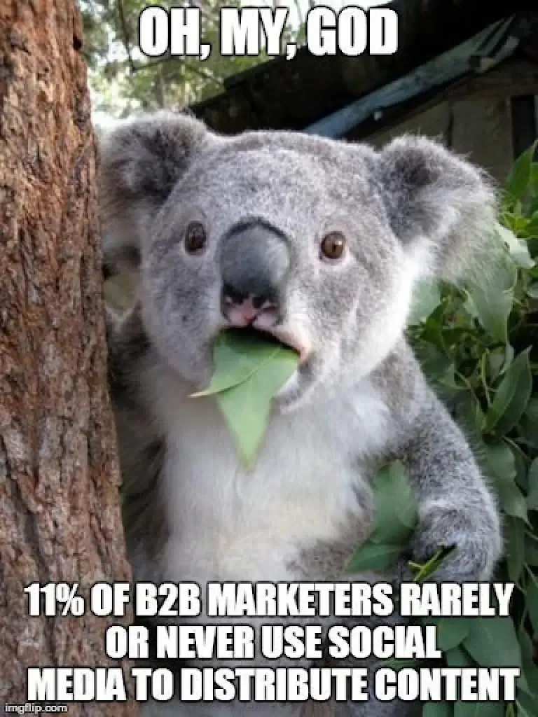 #1 Meme de Marketing B2B - Fonte:&nbsp;Pinterest