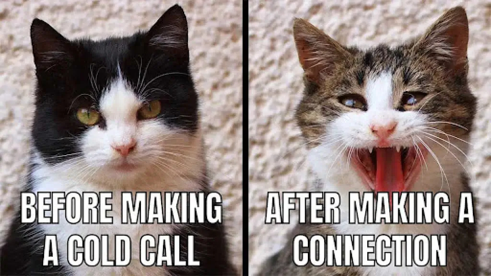 #15 Outreach Meme - Source:&nbsp;Reach Marketing&nbsp;