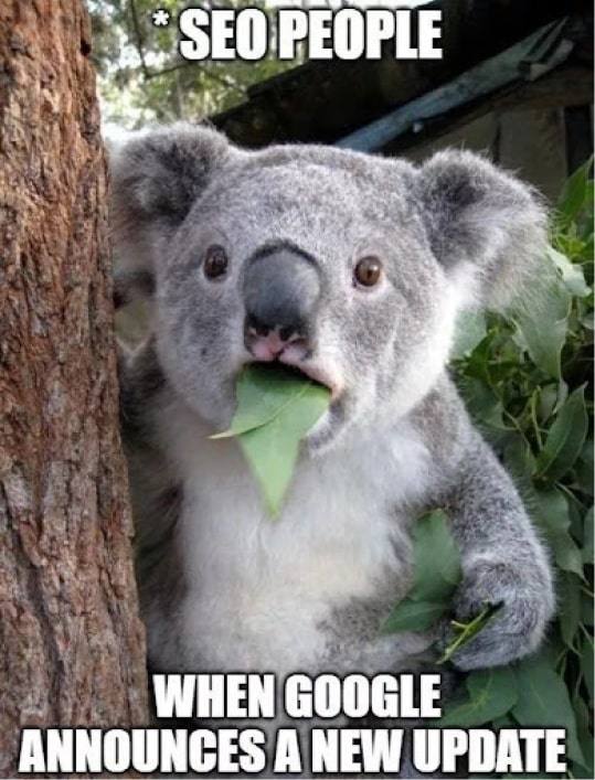 #6 SEO meme - Source:&nbsp;Digichefs