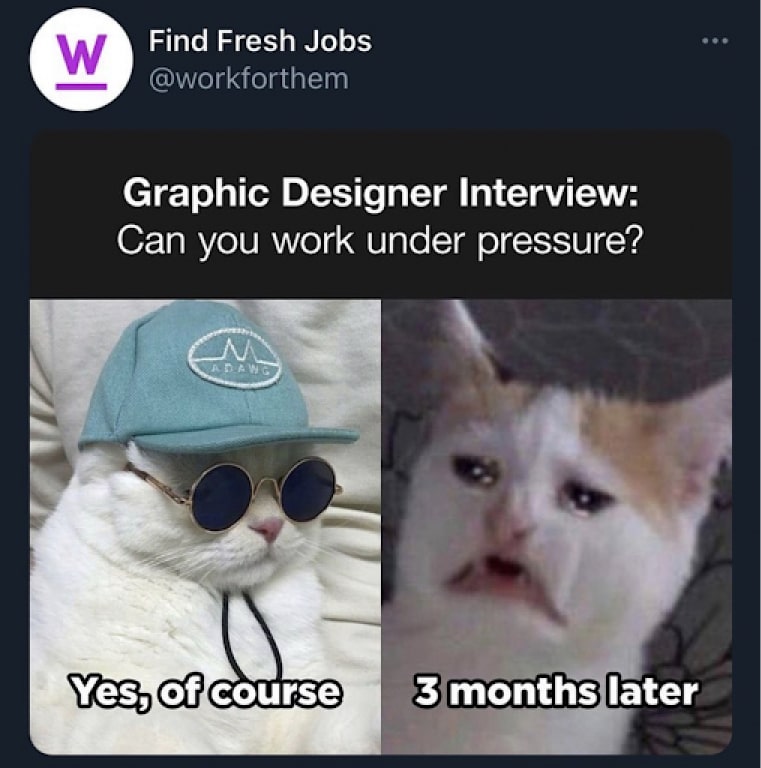 &nbsp; #39 Designer Meme - Source:&nbsp;Wishu