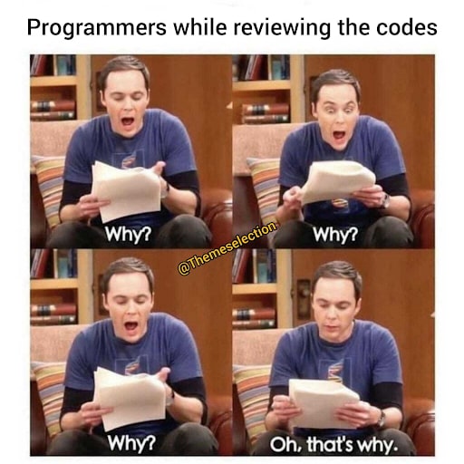 #18 Developer Meme - Source:&nbsp;cometchat