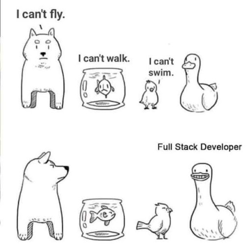 #32 Developer Meme - Source:&nbsp;LinkedIn