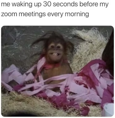 #1 Remote Work Meme - Source: LiveStorm