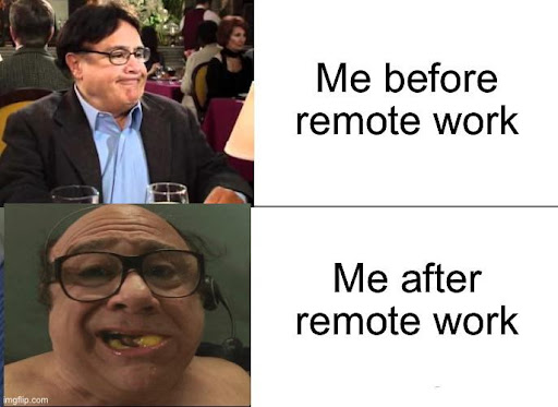 #22 Remote Work Meme - Source: MemeZila.com