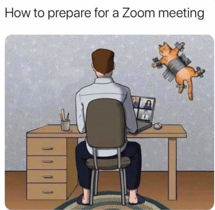 #4 Remote Work Meme - Source: Insightful 