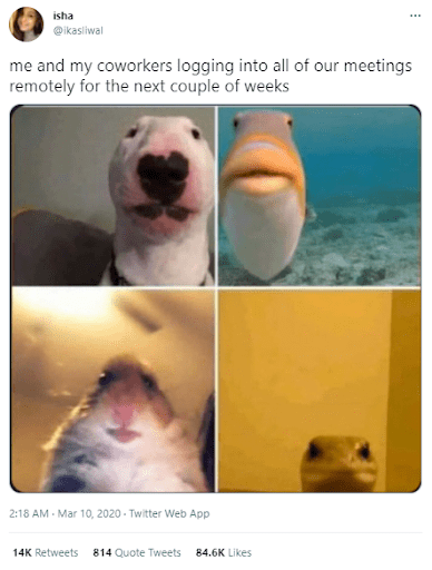 #48 Remote Work Meme - Source: actiTIME