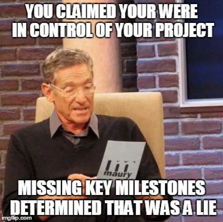 #13 Project Management Meme - Source:&nbsp;visor.us