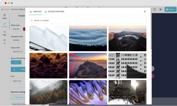 Customizing the look of your volunteer application form