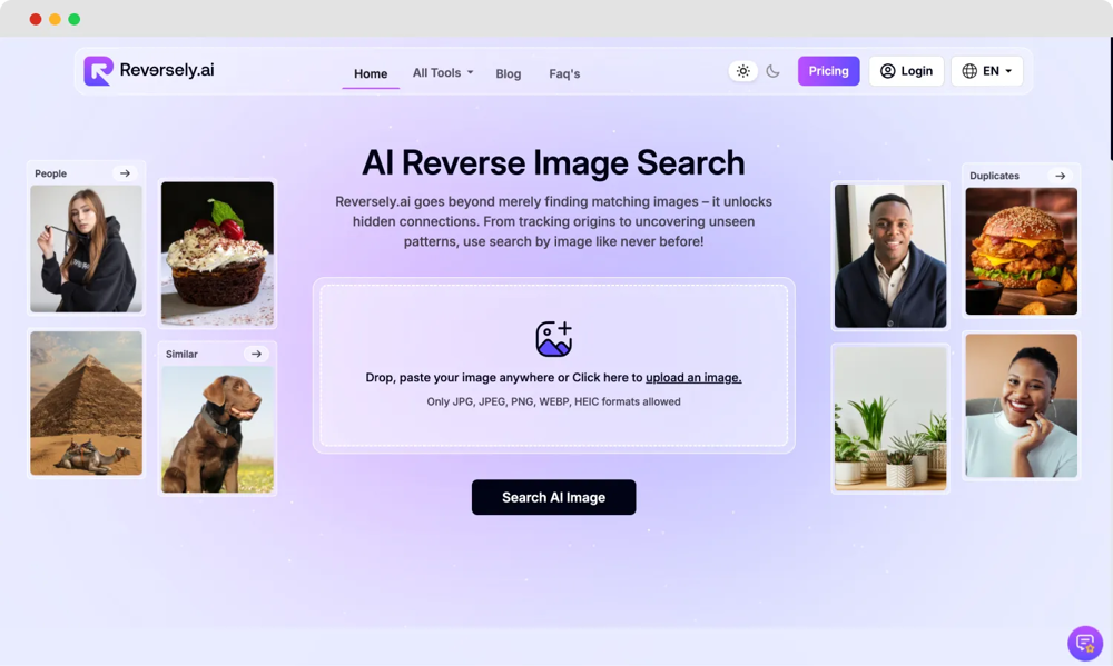 The homepage of Reversely.ai