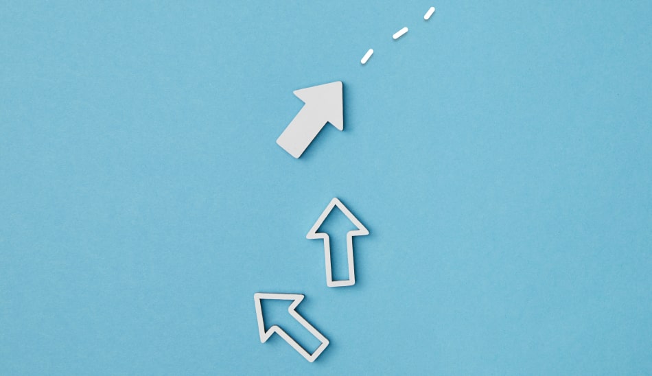 The beginner's guide to purposive sampling (Definition & examples)