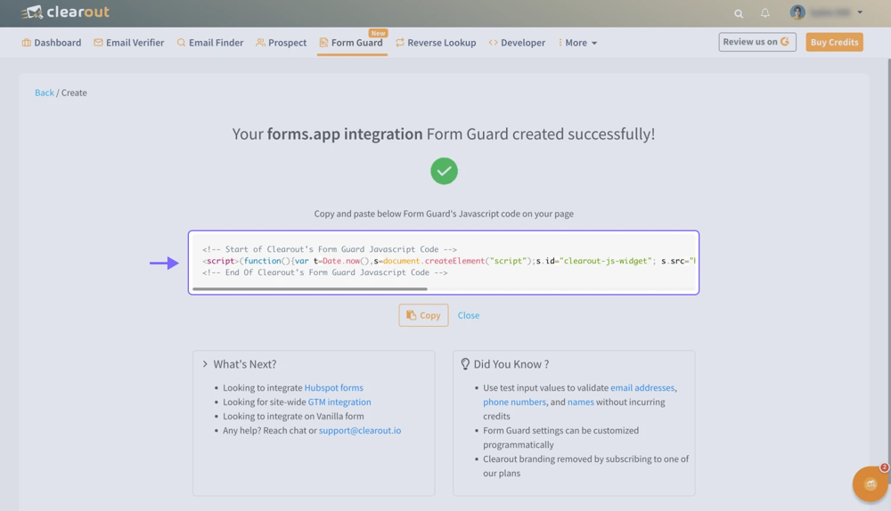 Copy the Form Guard code snippet
