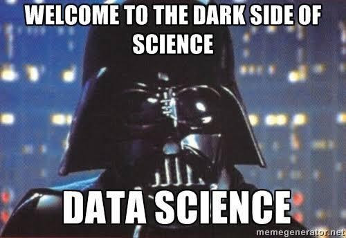 #8 Data Science Meme - Source:&nbsp;Interview Query