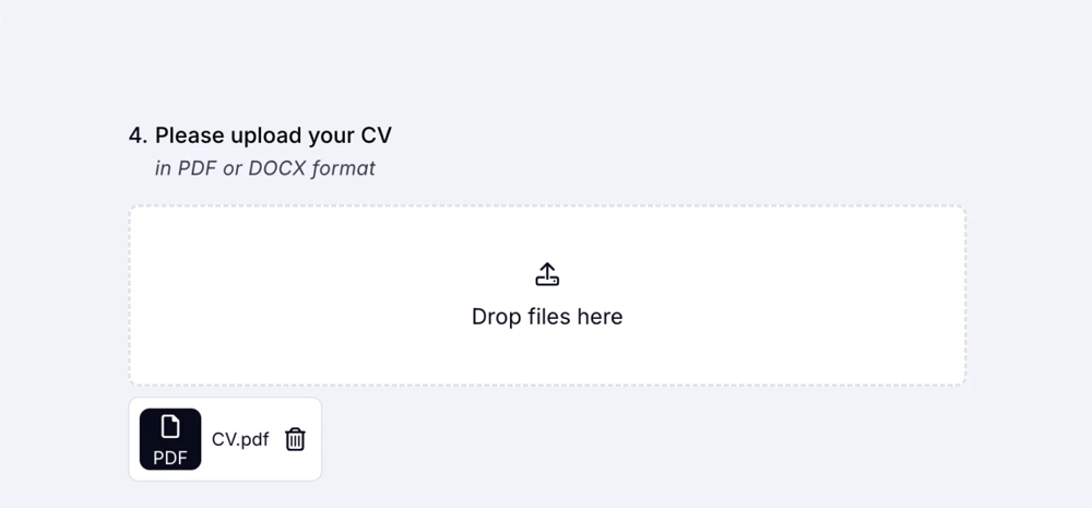 An image showing an example of the “File Upload” field usage when collecting the CV documents