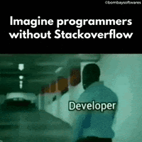 #39 🤔Developer Meme - Source:&nbsp;Giphy