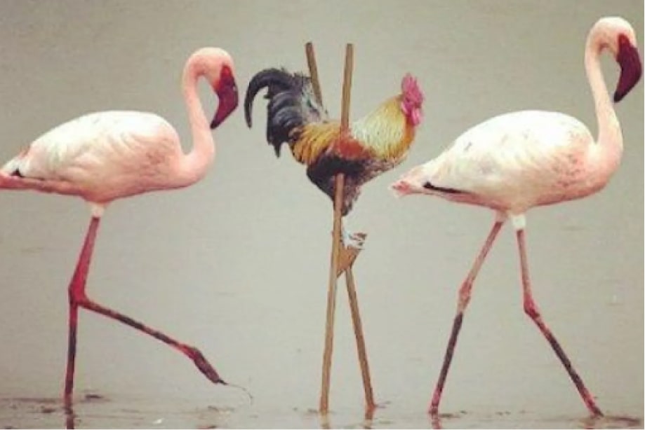 #37 HR meme - Source: zenhr