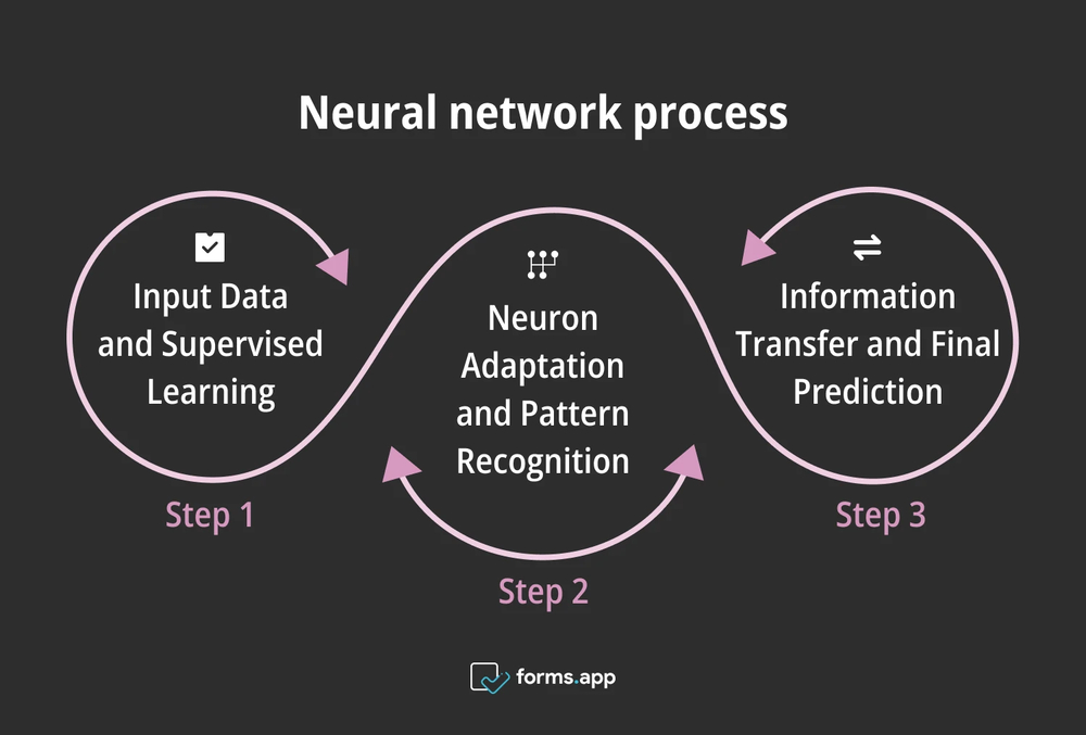 Neural network process