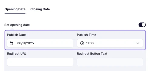 An image showing an example of an entered form’s publish date and time in the needed area