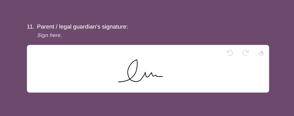 An image showing a filled-out “Signature” field example