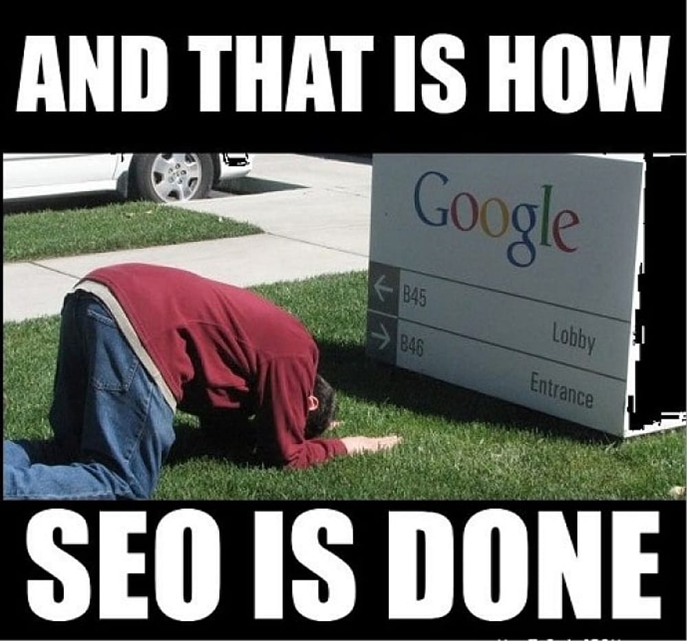 #12 SEO meme - Source:&nbsp;Google SEO Trends