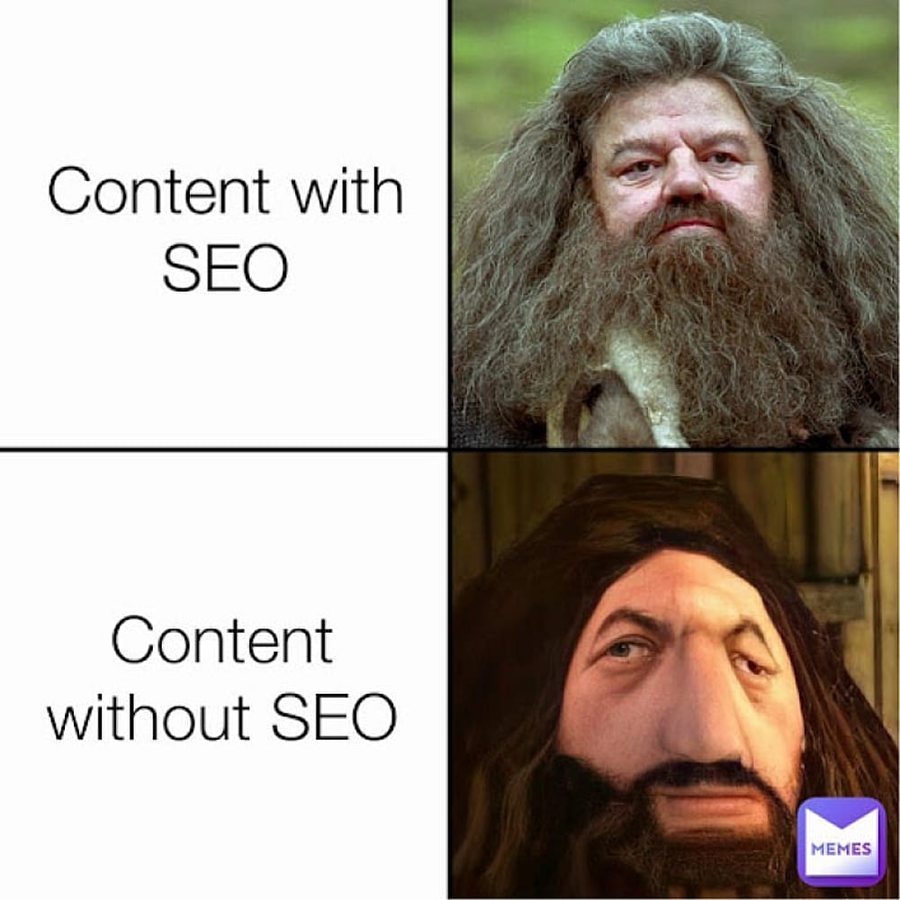 #20 SEO meme - Source:&nbsp;Twitter- weDevs