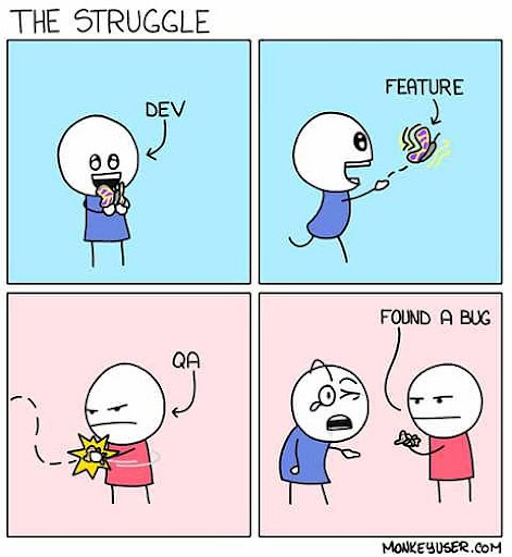 #21 Developer Meme - Source:&nbsp;DevGenious