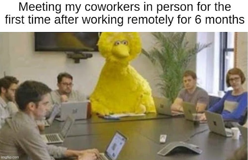 #10 Remote Work Meme - Source:&nbsp;Pumble