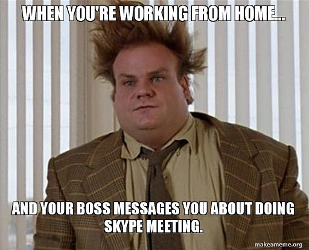 #11 Remote Work Meme - Source:&nbsp;Pinterest