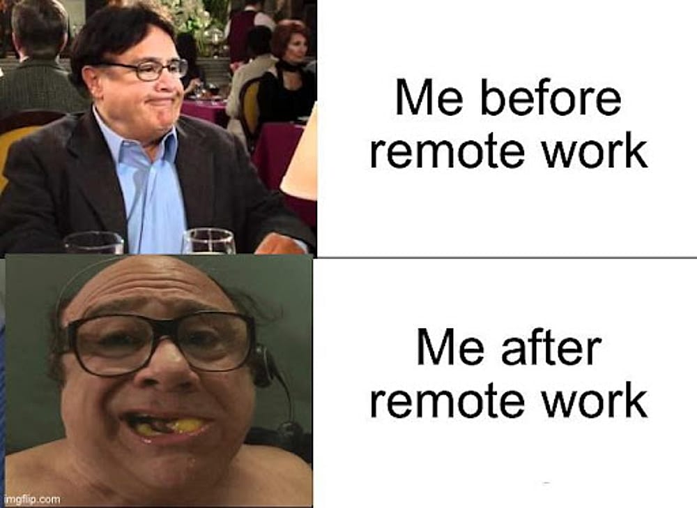 #22 Remote Work Meme - Source:&nbsp;MemeZila.com