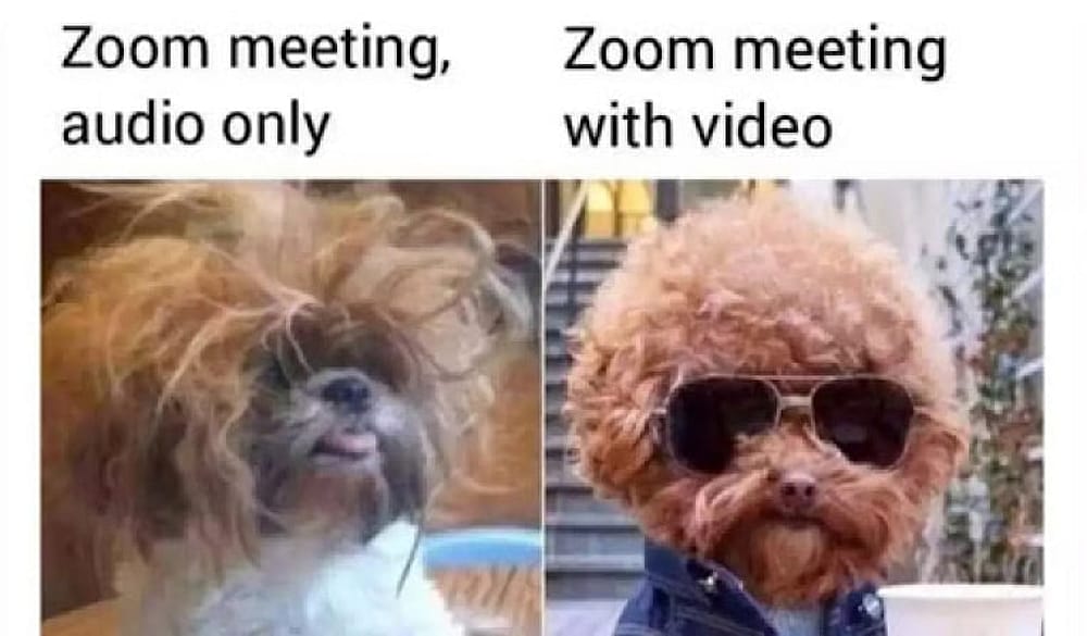 #23 Remote Work Meme - Source:&nbsp;TheTimesOfIndia