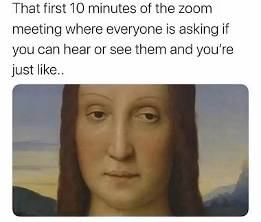 #25 Remote Work Meme - Source:&nbsp;Livestorm