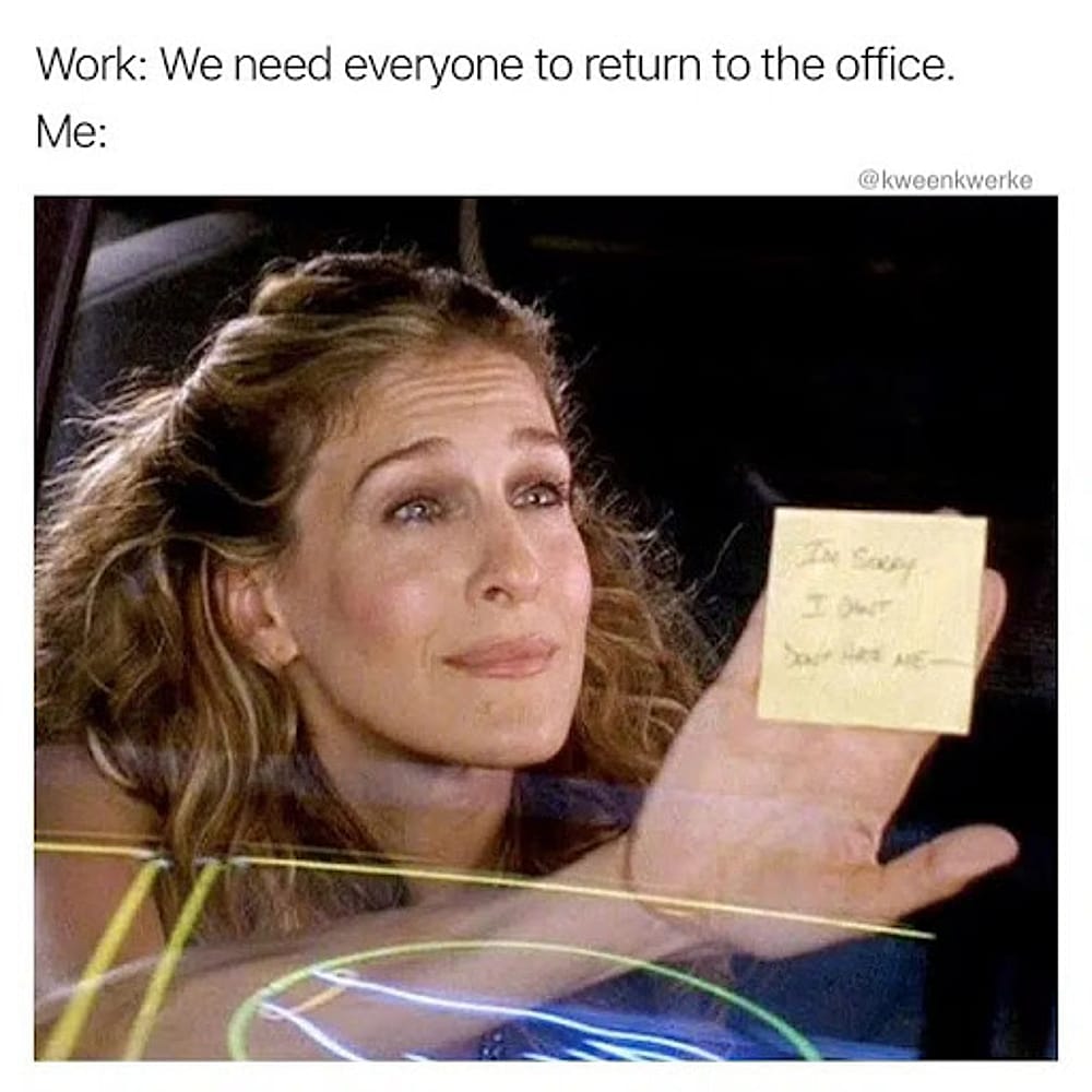 #31 Remote Work Meme - Source:&nbsp;withlovebecca