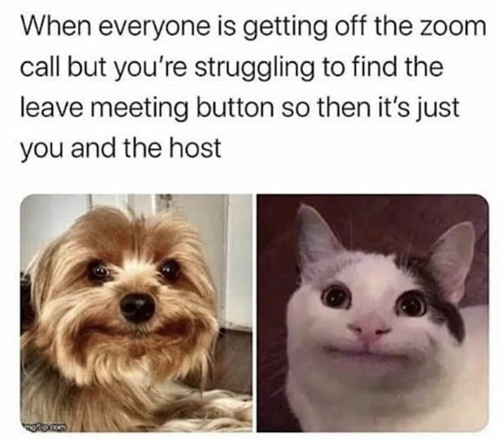 #39 Remote Work Meme - Source:&nbsp;ActivTrak