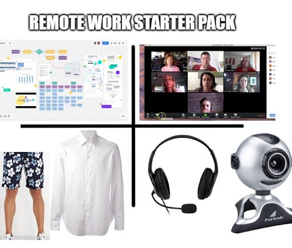 #40 Remote Work Meme - Source:&nbsp;Reddit