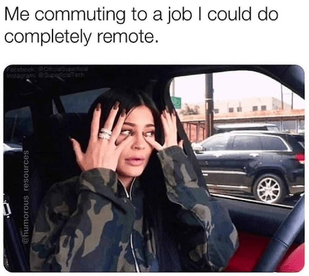 #52 Remote Work Meme - Source:&nbsp;cheezburger