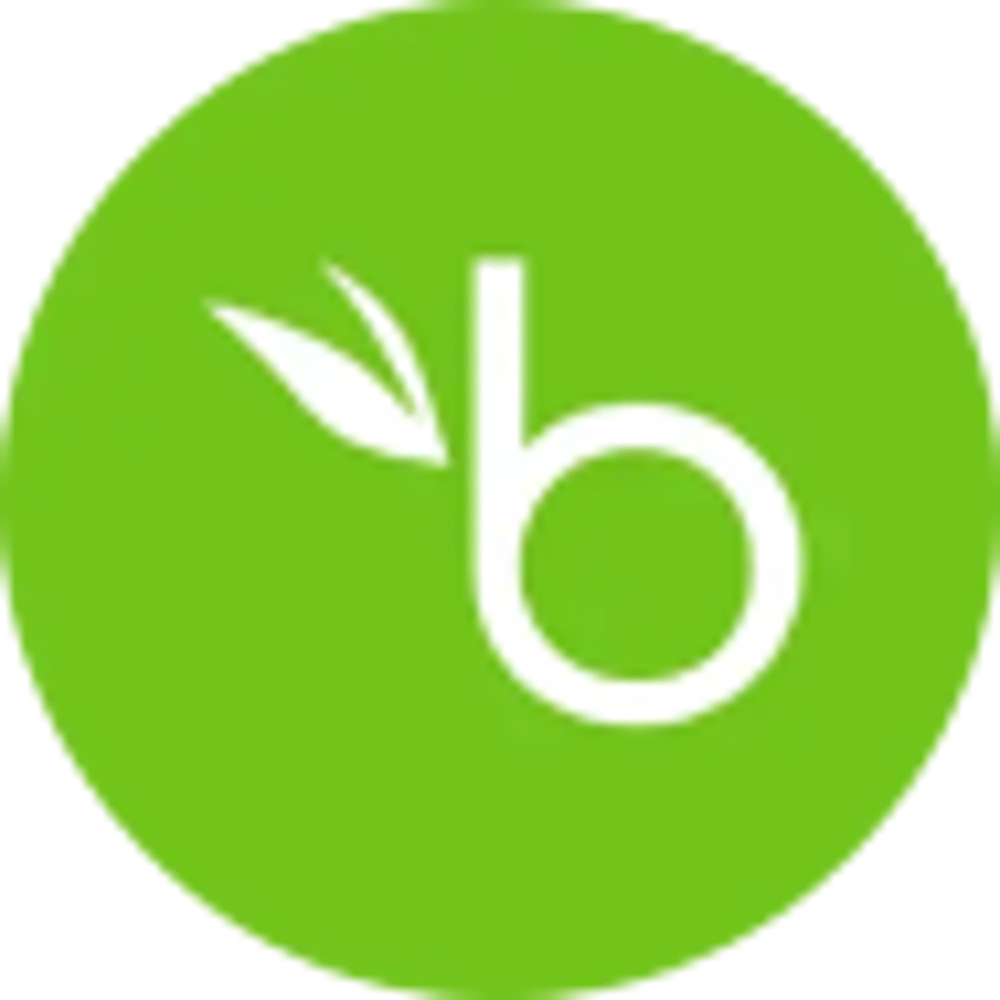 BambooHR